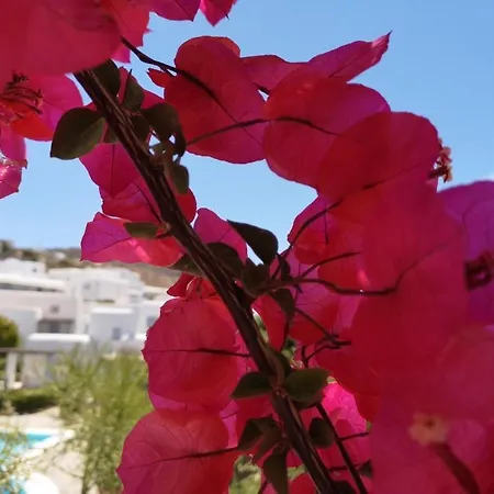 Our Beautiful House In Ornos, Mykonos Вилла Орнос
