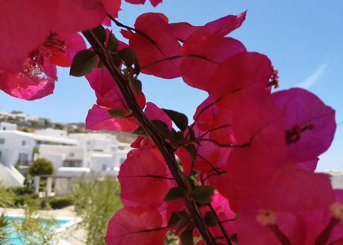 Our Beautiful House In Ornos, Mykonos Βίλα Ορνός